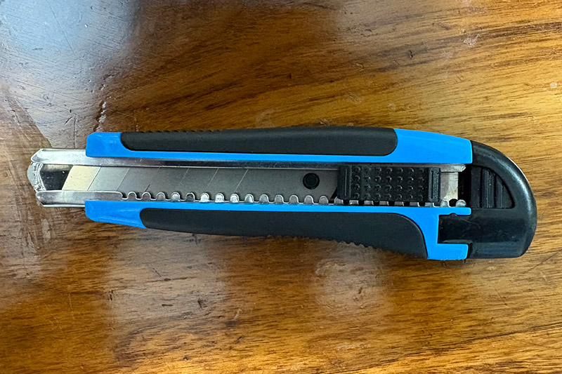 New Educational Voyage