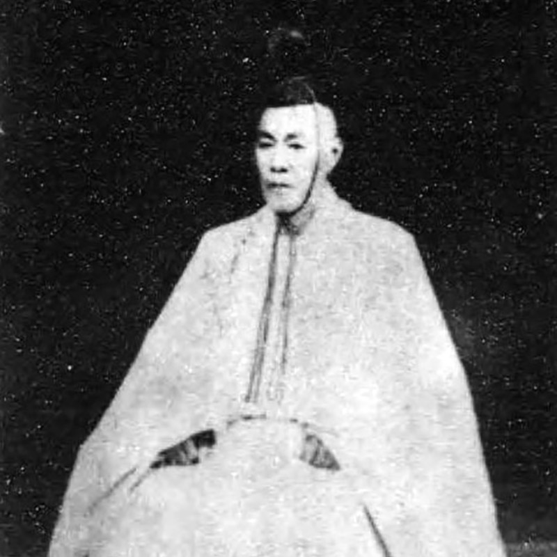 New Educational Voyage