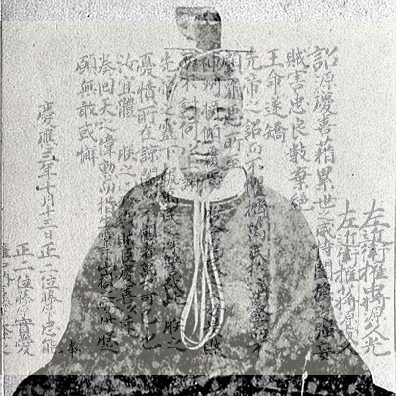 New Educational Voyage