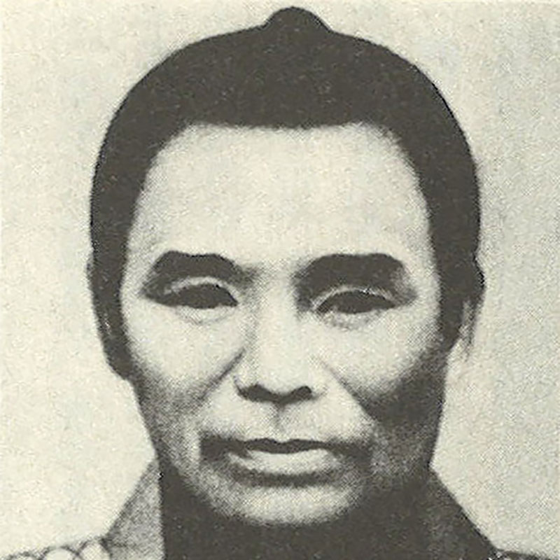 New Educational Voyage