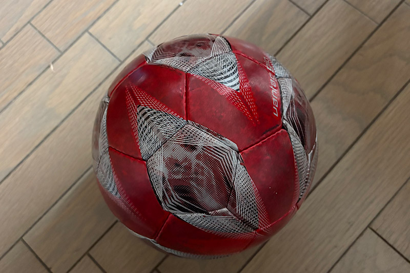 New Educational Voyage