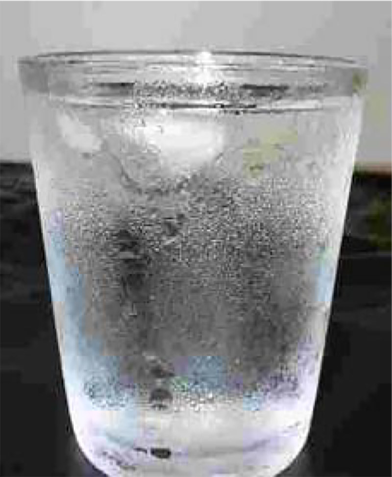 New Educational Voyage