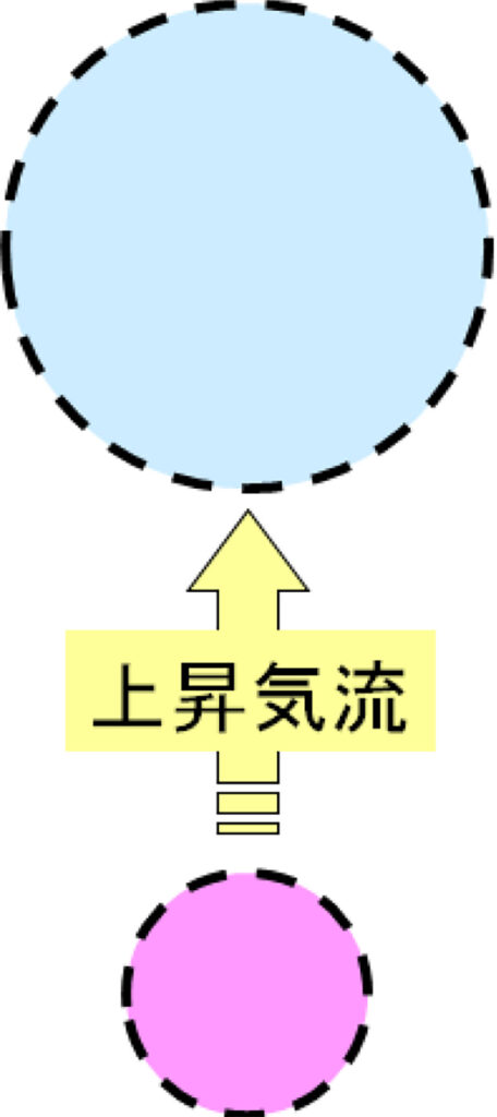 New Educational Voyage