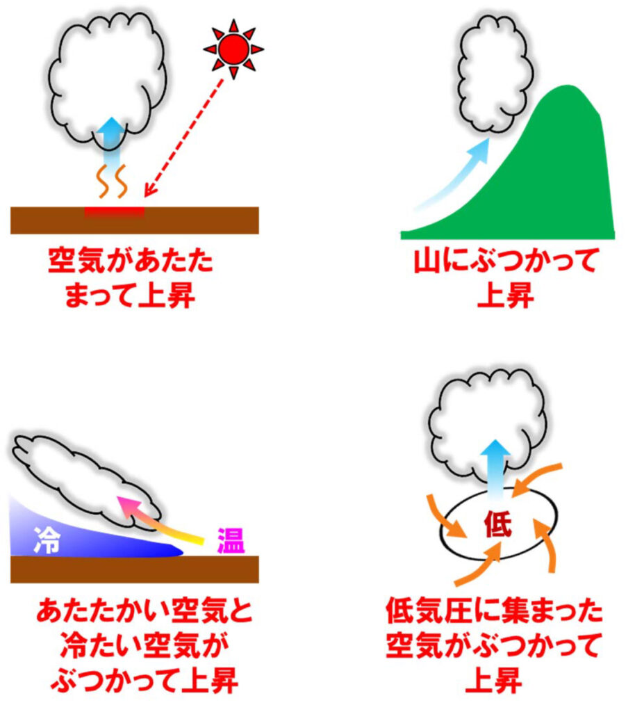 New Educational Voyage