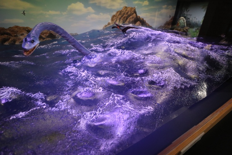New Educational Voyage