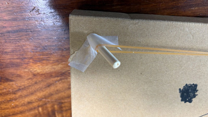 New Educational Voyage