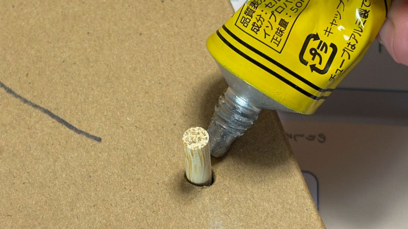 New Educational Voyage