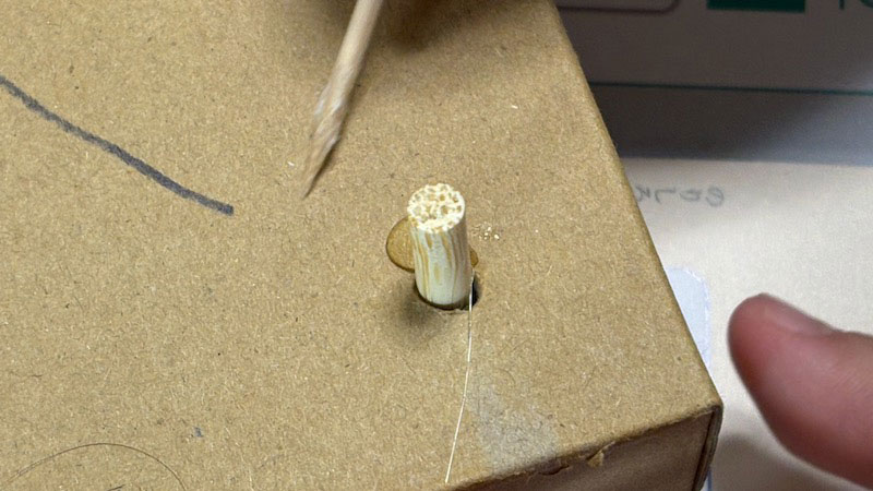 New Educational Voyage