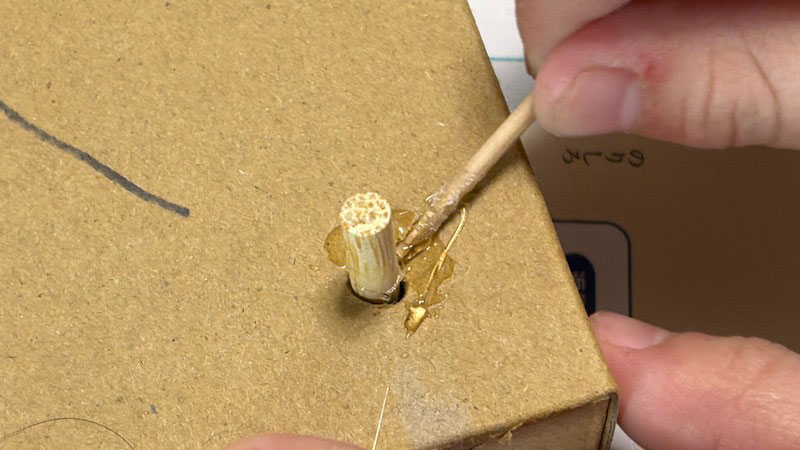 New Educational Voyage