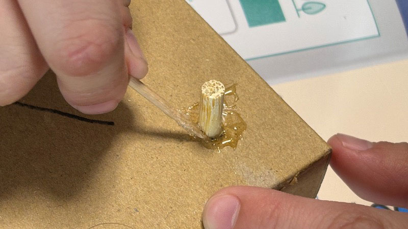 New Educational Voyage