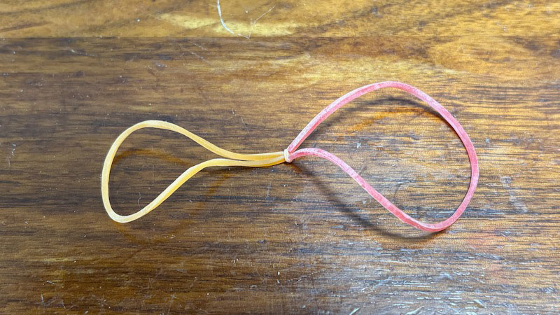 New Educational Voyage