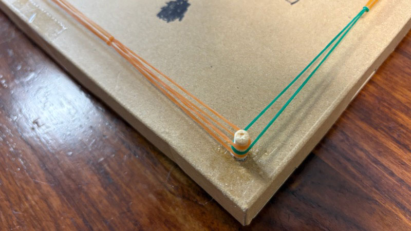 New Educational Voyage