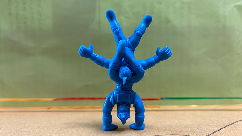 New Educational Voyage