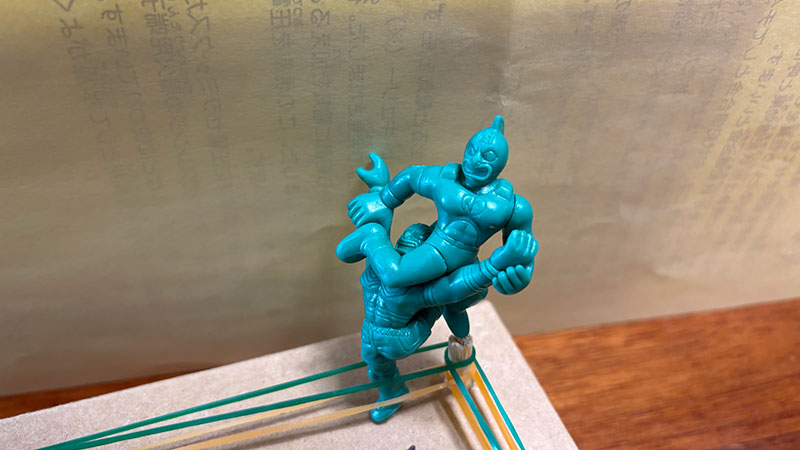 New Educational Voyage