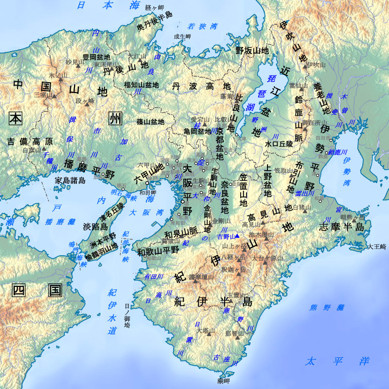 New Educational Voyage