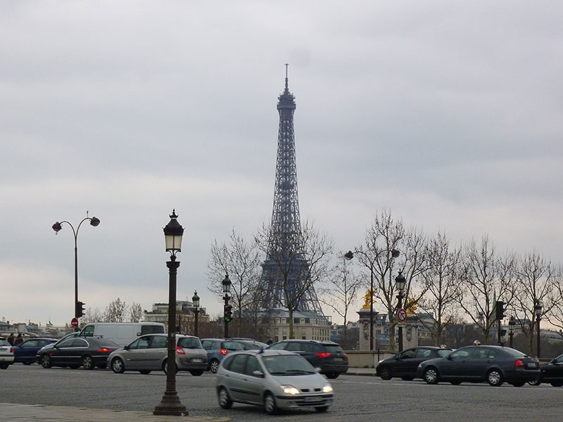 New Educational Voyage