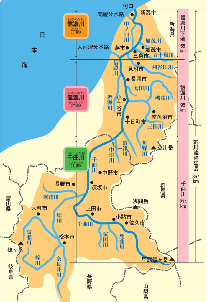 New Educational Voyage