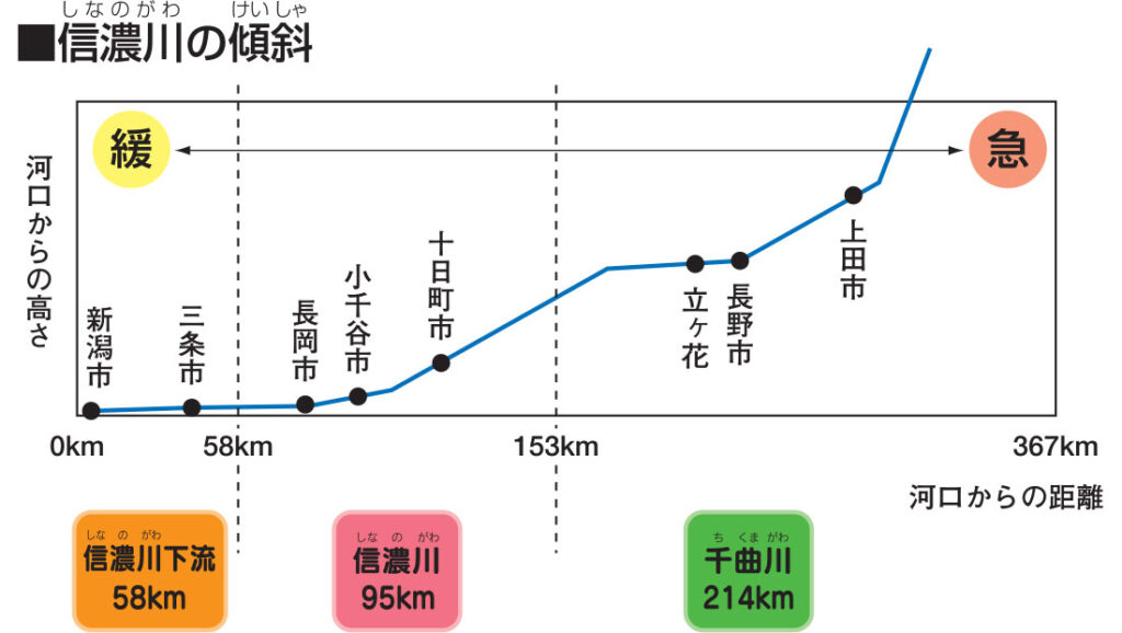 New Educational Voyage