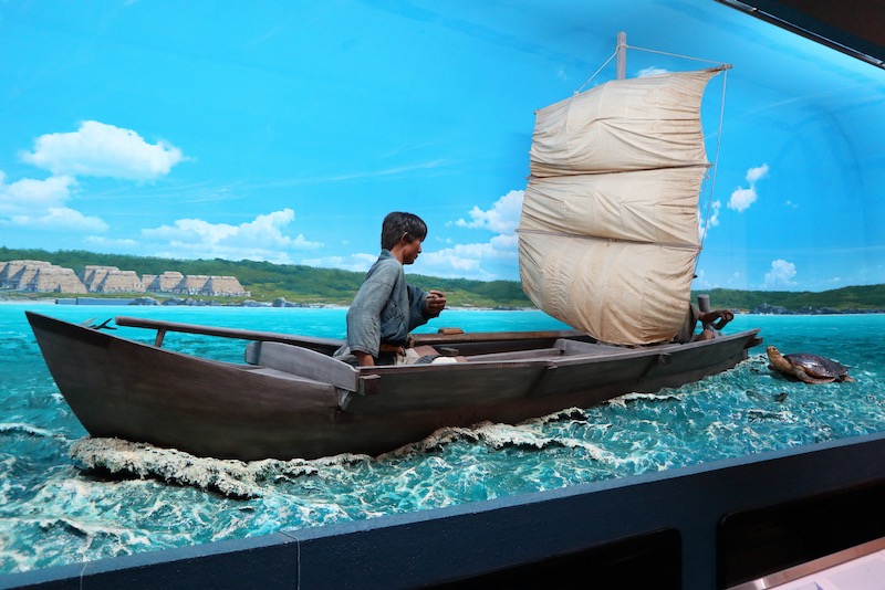 New Educational Voyage