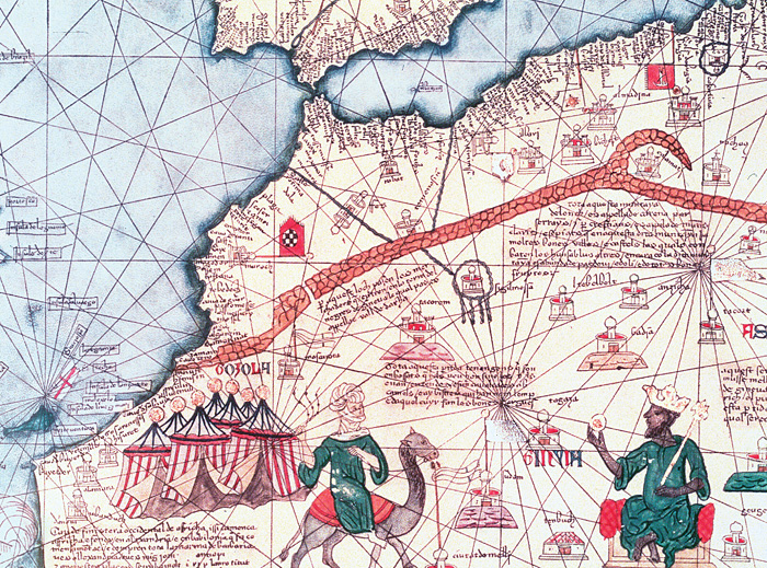 New Educational Voyage