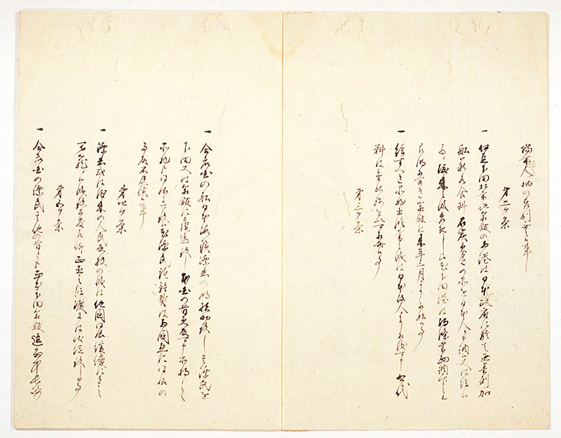 New Educational Voyage