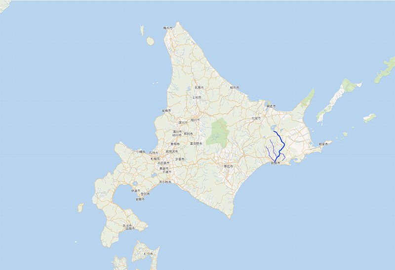 New Educational Voyage