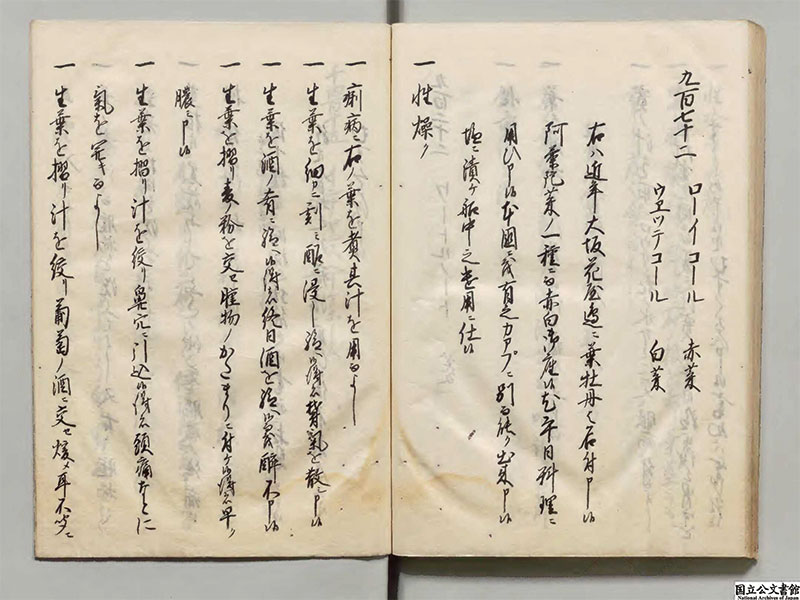 New Educational Voyage